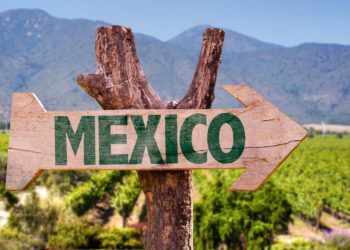 Direction Mexico et ses vignobles, Mexico et ses alentours, expérience culinaire, la route des saveurs