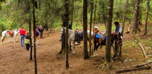 Balade à cheval Valle de Bravo, Papillons Monarques, Valle de Bravo, article blog JPM Tours