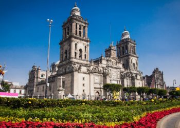 Zocalo Mexico, cathédrale, fleur, Mexique