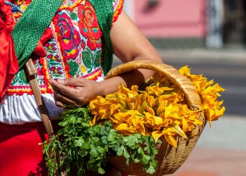 Oaxaca, artisanat, panier, femme, Mexique