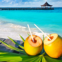 Noix de coco en bord de plage, riviera maya, Caraibes, voyages lune de mien, circuit sur-mesure - JPM Tours