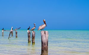 Un circuit en famille à la découverte de Mexico et du Yucatan