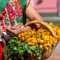 Oaxaca, artisanat, panier, femme, Mexique