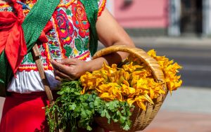 Nous avons passé un magnifique voyage de noces dans le Yucatan !